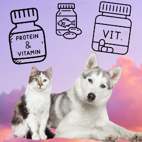 Picture for category Dietary Supplements